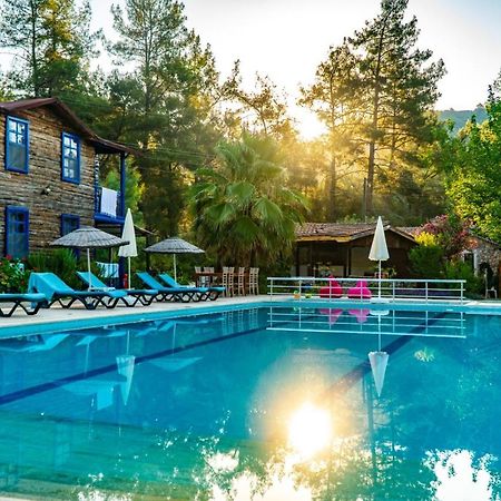 Yazir  Olympos Forest House酒店 外观 照片