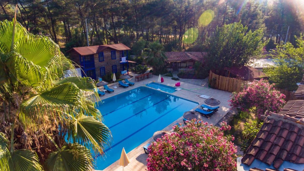 Yazir  Olympos Forest House酒店 外观 照片